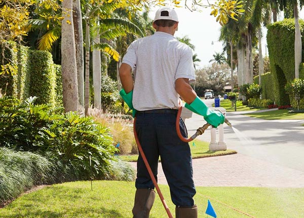 About Kirbyville TX Pest Control